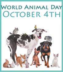 5 Read the text and say why people celebrate World Animal Day. The fourth of October is World Animal Day.