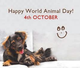 Today, people recognize World Animal Day as a day to celebrate all animal life including endangered and rare species, as well as all other animals. Animals influence our lives in many positive ways.