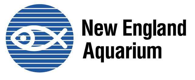 717 TWO PASSES DONATED BY NEW ENGLAND AQUARIUM $54.00 $20.00 $10.00 Founded in 1969, the New England Aquarium is a global leader in ocean exploration and marine conservation.