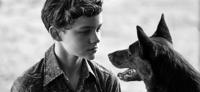 >> Sinopsis Kada jedanaestogodišnjeg Mika pošalju na farmu njegovog dede u udaljenoj oblasti Pilbara u Zapadnoj Australiji, on je spreman na dosadan život pun teškoća koji ga tamo očekuje.