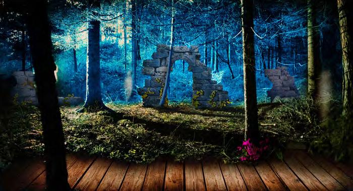 SET DESIGN BY NATHANAEL VAN DER REYDEN Our designers had an extra challenge this year, creating a backdrop banner that would work for both Midsummer Madness and Macbeth: Undone, two very different