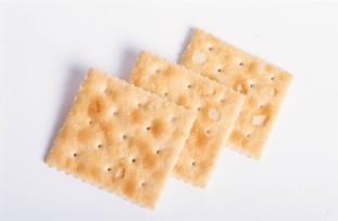 saltine from the  Who stole the
