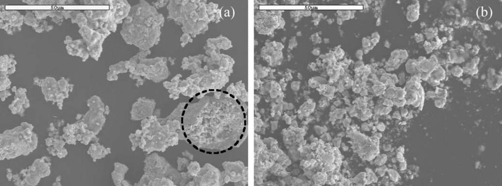 Fig. 4 SEM images of dried (a) green-emitting phosphor (PG) and (b) red-emitting phosphor (PR). The dotted circle in (a) shows that the large agglomerated particles are composed of small particles.