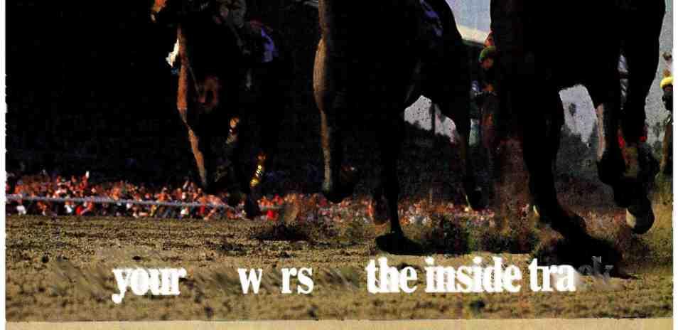 hrses and jckeys cmpeting in the 1987 Breeders' Cup n Nvember 21st.