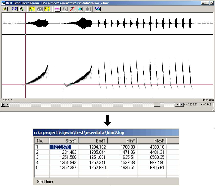 Measurement cursor and built-in measurement datafile: Use a screen cursor to measure sound parameters, such as start times, note and sound durations and intervals, and peak frequencies.