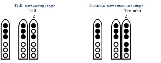 **Adding in Trills and Temelos: Trills and tremelos give it a flutter effect. Some good choices might be the longer note(see below).