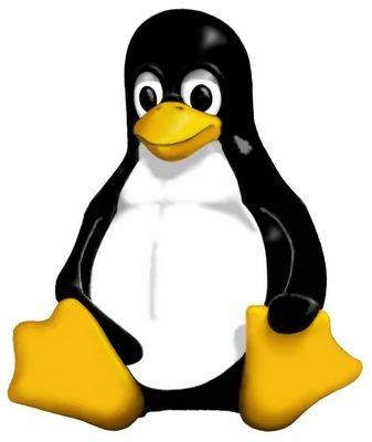 Qué é Linux? O kernel Linux, que se pronuncia 'linnuks' é o corazón do sistema operativo Ubuntu.