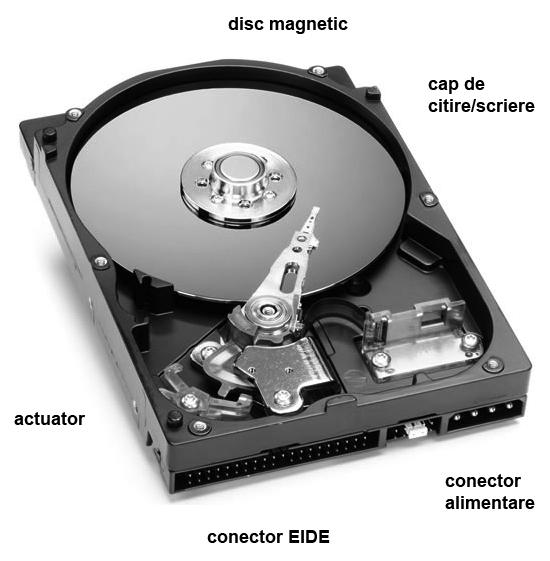 Hard-discurile - componente: ansamblul capetelor de disc (HDA Head Disk Assembly) care constă în: un număr de discuri (platane); un motor care roteşte discurile; capete magnetice pentru citirea şi