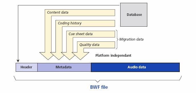 Audio formats - High quality - Was: Linear BWF, mostly 48/16/2, some higher - Is: Same - Access/use - Was: RealAudio 64