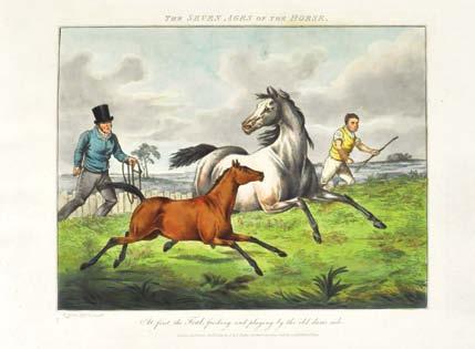 15. ALKEN, Henry. [The Seven Ages of the Horse.] London: S. & J. Fuller, 1825.