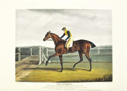 Leger winners contains the very best of Herring prints... they were engraved by Sutherland, a more competant aquatinter and colourist than his successors who handled these racehorses. - Siltzer.