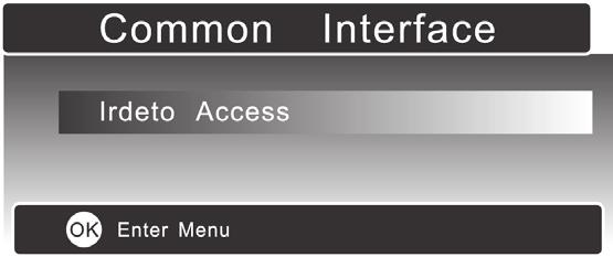 Do not repeatedly insert or remove the Common Access Module as this may damage the interface and cause a malfunction. This feature is not available in all countries.