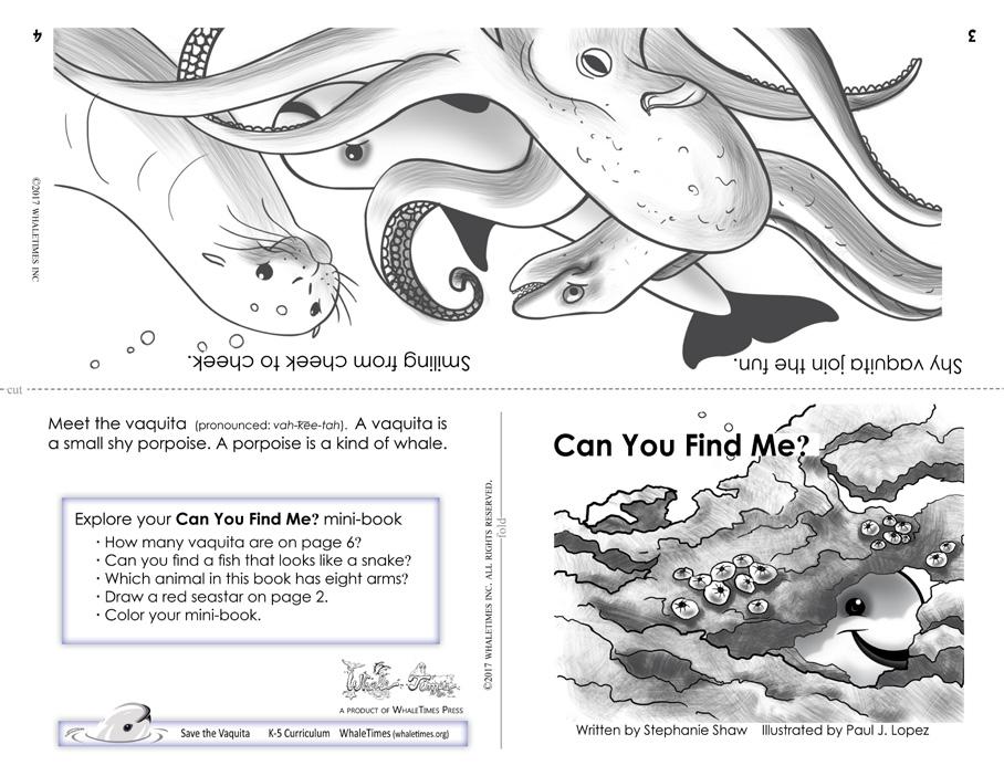 different animals hide in the ocean Explain why animals hide Compare and contrast fiction and nonfiction stories