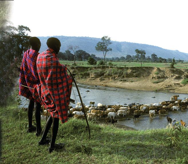 Memoir from Facing the Lion: Growing Up Maasai on the African Savanna Joseph Lemasolai Lekuton About the Author Joseph Lemasolai Lekuton was born in rural Kenya to a tribe of Maasai nomads.