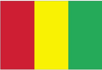 Instrument: Djembé, a goblet-shaped signal drum Country: Guinea Flag: The colors are pan-african.