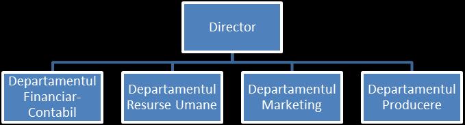 Exemplu: Tabelul 1.4. Oportunități și riscuri manageriale [12, p. 34] sau [elaborat de autor] Nr. Oportunități Riscuri Exemplu: Fig. 2.4. Structura organizatorică a întreprinderii [12, p.
