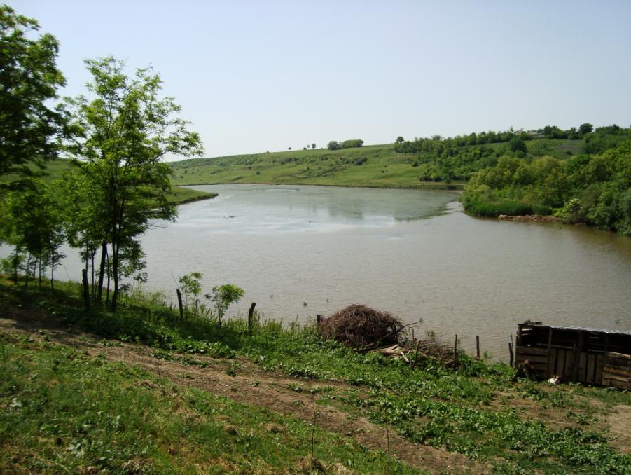 Strategia de Dezvoltare Locală pentru perioada 201 2020 5.1.1.6 Piscicultură Pe teritoriul comunei Ţigănaşi există 618 ha iazuri.
