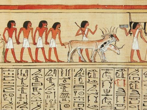 Title Papyrus of Any Variant Title Papyrus of Ani Larger Entity Egyptian Book of the Dead Culture Egypt, 19th Dynasty Classification Manuscript Material/Medium papyrus (fiber product) Height 38.