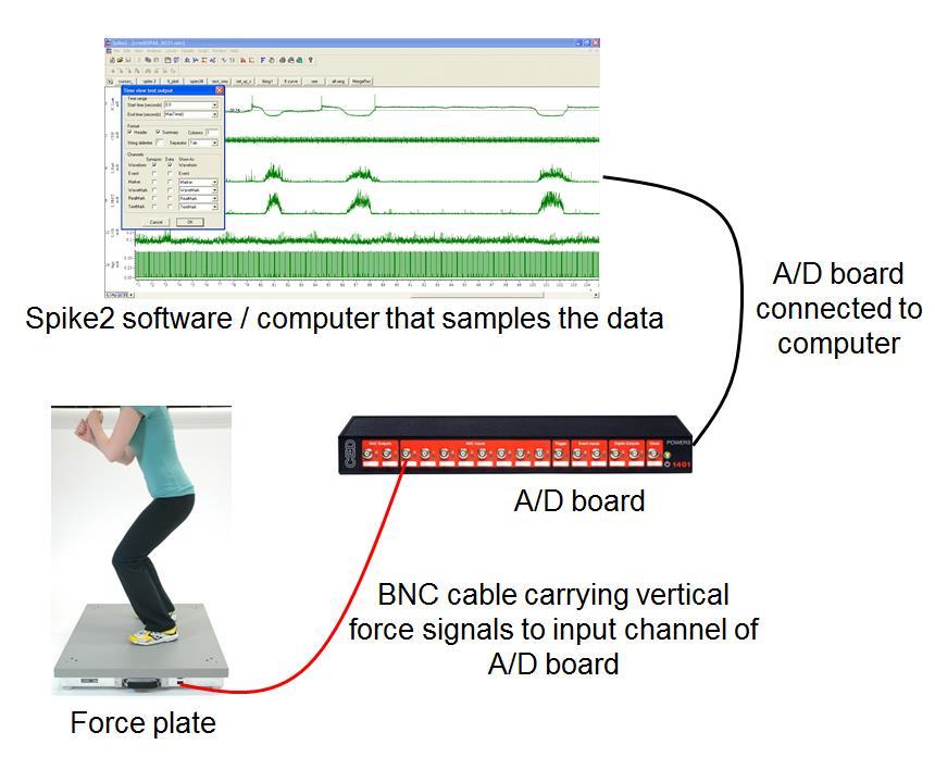 3 Basics of data collection in Spike2 For most applications in our labs, you will use some kind of measurement device combined with an A/D board, Spike2 software (or similar), and a computer.
