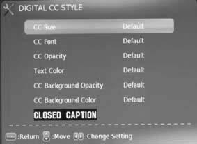 Menu Adjustments Setup Settings In the SETUP menu you may adjust the TV preferences. How to Navigate: Press the MENU button on the remote control.