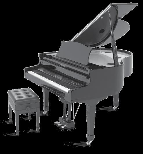Welcome We would like to express our appreciation and congratulate you for purchasing this Suzuki Digital Grand Player Piano.