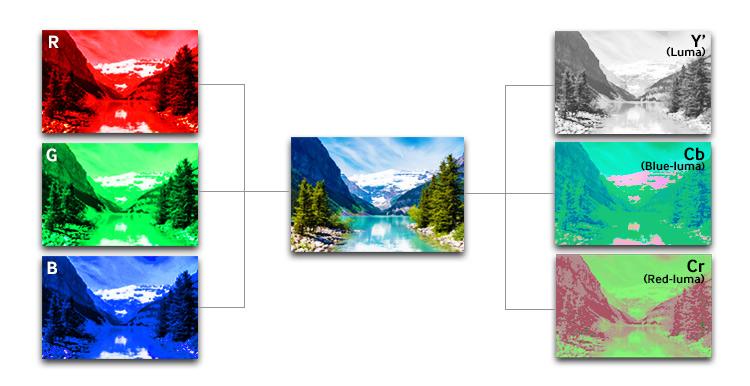 In video systems, the chroma component represents the color information, while brightness is described by the luma component.