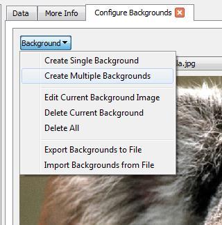 Then choose Create multiple backgrounds (E) and add remaining images (F). Hold down the control key to select multiple images in the File Open dialog.