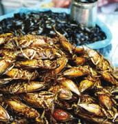 What it is: Water beetles (a kind of insect) are fried in oil and then salt is