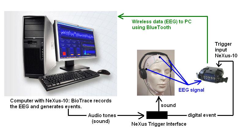 NeXus: solving the problem of EEG & event synchronization In order to get high time-resolution on the averaged responses, the presented stimuli (events) must be synchronized very precisely with the