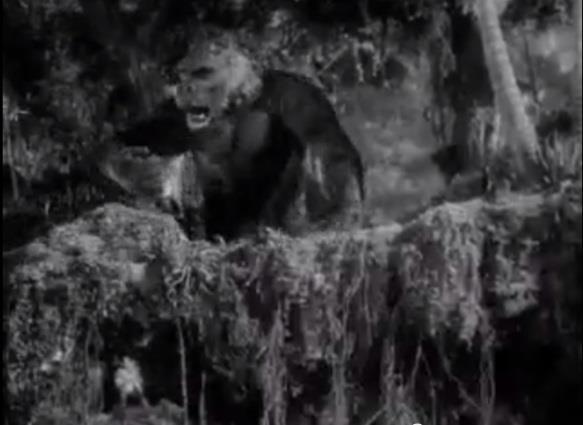 Figure 8: In King Kong, the score exactly follows the action on screen. In this scene, staccato notes emphasise each stab of the hero s knife and each swipe and roar of the giant ape. 4.3.