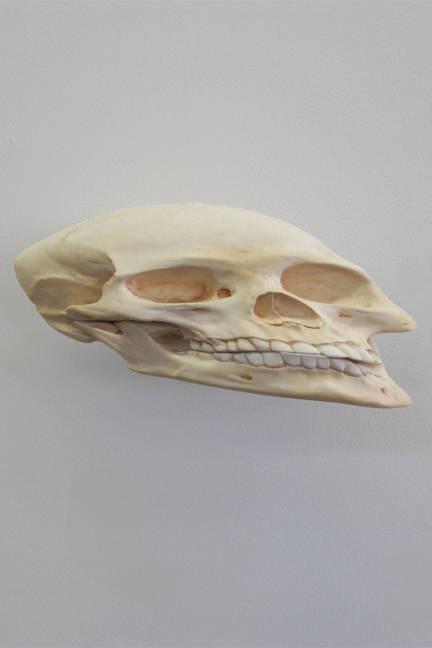 Tweet 4 8 OF 9 skull (v), 2011 resin, bone, pigment 12 x 8 x 6 inches Photo: