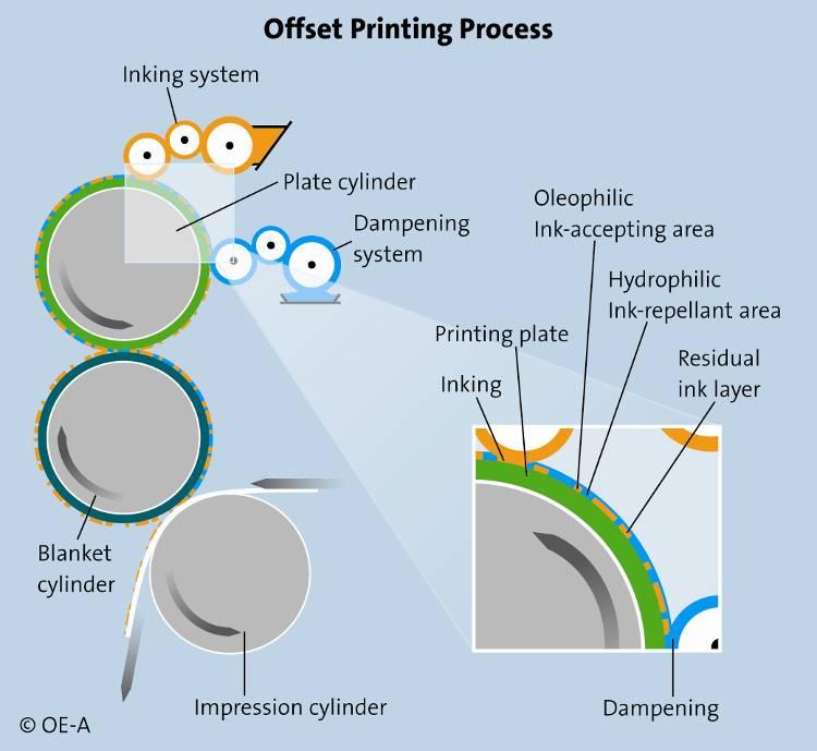 The term offset refers to the fact the image is not defined on the cylinder than transfers the ink to the substrate, but to an intermediate cylinder, which then transfers the image to the offset