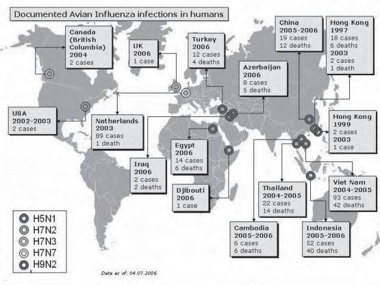 Task 9 Work in pairs. Study the following map showing the number of infected people in different parts of the world. Then, make a presentation on the case.