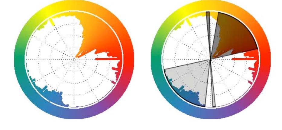 Figure 2: Hue values expressed as circular histogram around an RYB hue wheel (left). The hue values in dark grey are in an antagonistic relationship to the values in light grey (right).