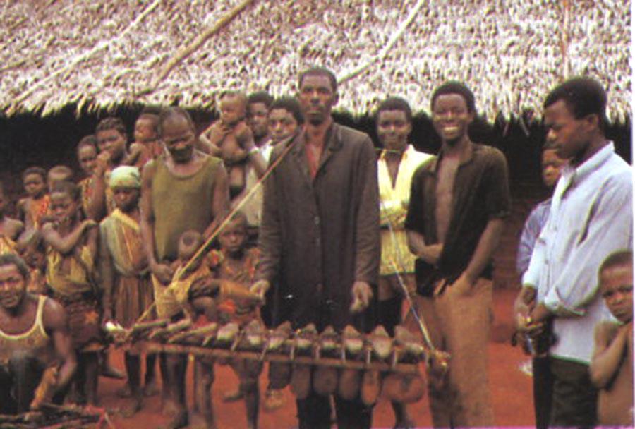 Xylophones Wood, vines and gourds comprise the African xylophone.