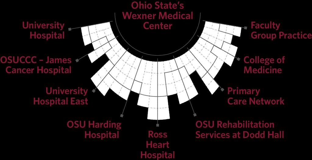Improving People s Lives Through Innovation in Safety and Quality in Research, Education and Patient Care University Hospital The Ohio State University Ohio State s Wexner Medical Center Faculty