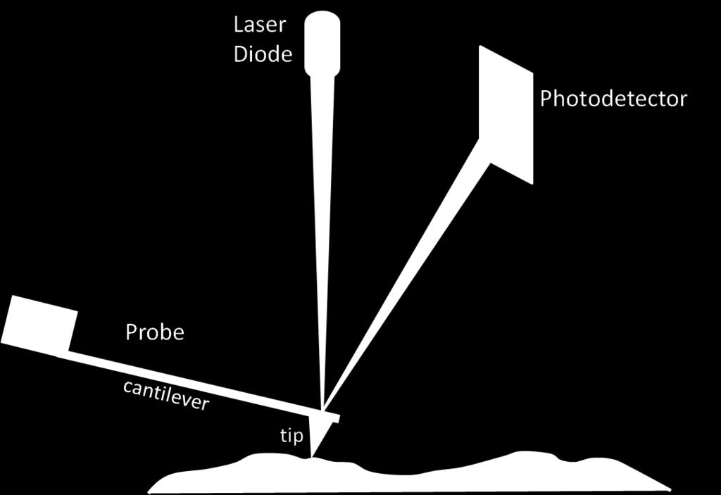 Two methods of height imaging on the AFM, contact and tapping, are discussed in the following chapters. Each method generates a height value (z) of the sample at each x and y position.