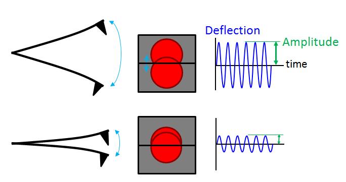 detector creating an AC Deflection signal characterized by its Amplitude. The larger the cantilever s oscillation, the larger the Amplitude signal.