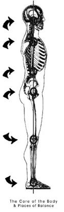 Centered, balanced, grounded, legs as shock absorbers Alignment/Posture Arms in air, lower arms until they are perpendicular