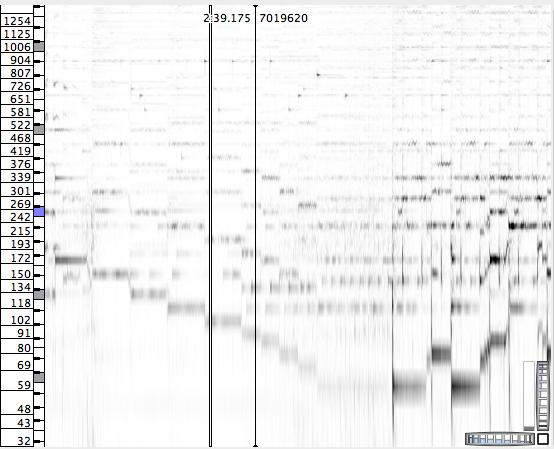 Figure 3.1 Sonic Visualiser Spectrogram of 'Stuff and Nonsense, 2'25"-3'02" This screenshot shows the end of the bridge leading into the final chorus of Split Enz s Stuff and Nonsense.