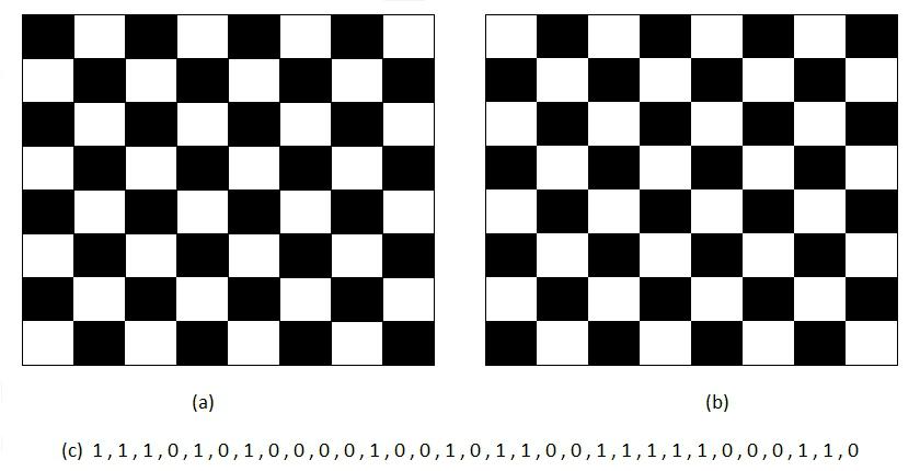 Figure 1:(a) Checkerboard pattern according to 1 bit (b) Checkerboard