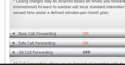 All Call Forwarding Forwards all calls. Select ON.