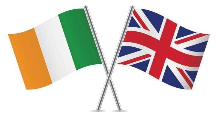 BUSINESS CULTURE AND THE IRISH DIFFERENCE The British tend to have a lower national loyalty when purchasing goods Economic