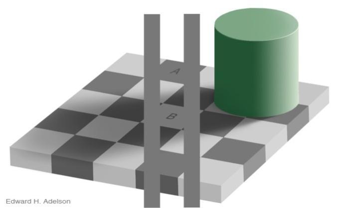 Figure 2: The checker shadow illusion.
