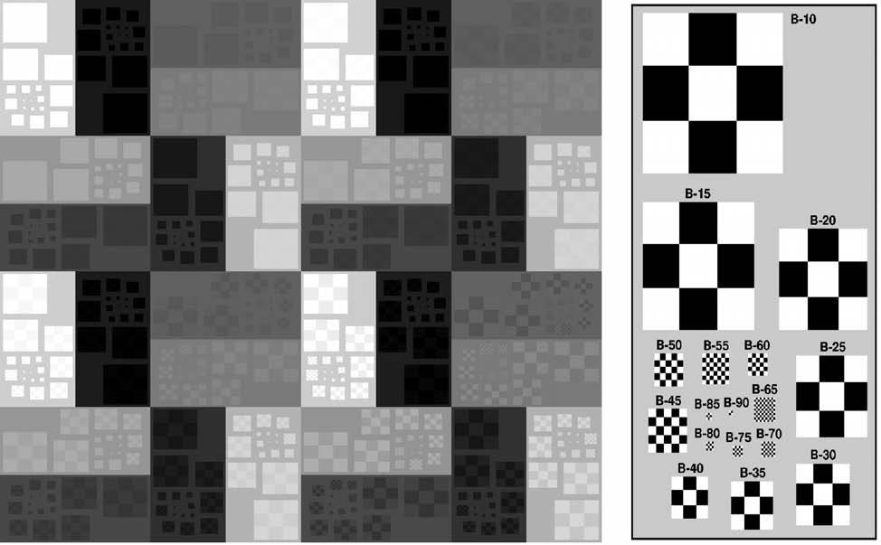 3.2.1.3 TG18-BR Pattern Briggs patterns are widely used for visually inspecting whether the contrast and resolution of a display system is properly adjusted (Briggs 1979, 1987).