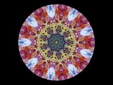 Figure 3. Snapshot of an image created with the two mirror kaleidoscope.