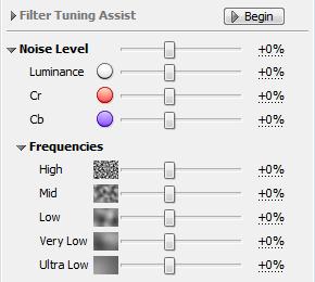 Noise Level (optional) Usually it is not necessary to change the noise levels if the noise profile is accurate.