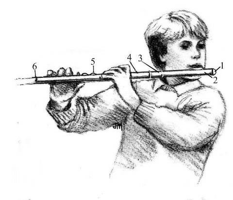 Book page: 1(1) Illustrated Fluteplaying Getting Started Getting