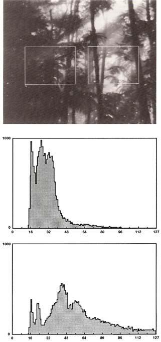 22 Fig. 14. Histograms. A histogram describes the distribution of data values within a digital image or region in an image - a tally of the number of pixels with each data value.