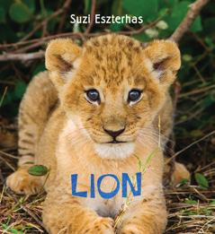 Is In The Lion similar to any other books you have read? How are these books similar or different? Have you ever been to a zoo? What did you see there?